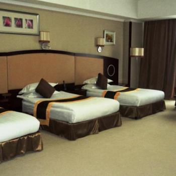 Hotel Miran International