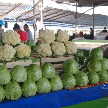 cabbage and cauliflower in Uzbekistan Bazaars
