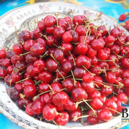 Cherry in Uzbekistan Bazaars