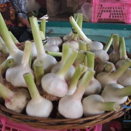 Garlic in Uzbekistan Bazaars