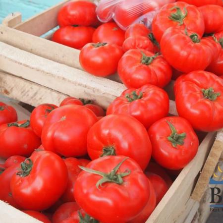 Tomato in Uzbekistan Bazaars